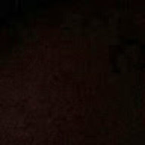 Meet your Posher, Terrence